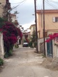 Bourgainville voor mijn zusje