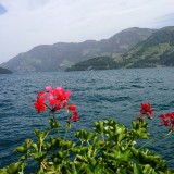 Bij Luzern