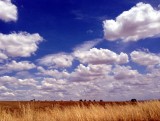 die wolken zijn hier zo mooi! net geschilderd