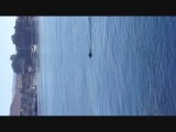 zeeotter