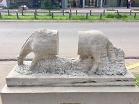 paard