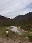 rivier