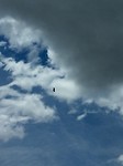 El Condor