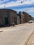 Criollo