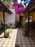 Onze patio