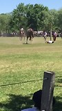 Rodeo