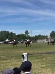 En weer een rodeo