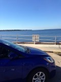 Blue in the Bajou