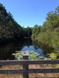 Mooi Park