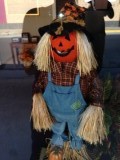 Halloween begint te komen