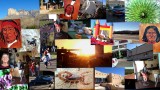 collage dag 19