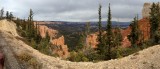 Bryce 5