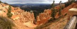 Bryce 6