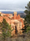 Bryce 7