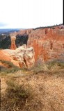 Bryce 8