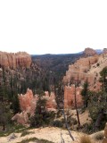 Bryce 9