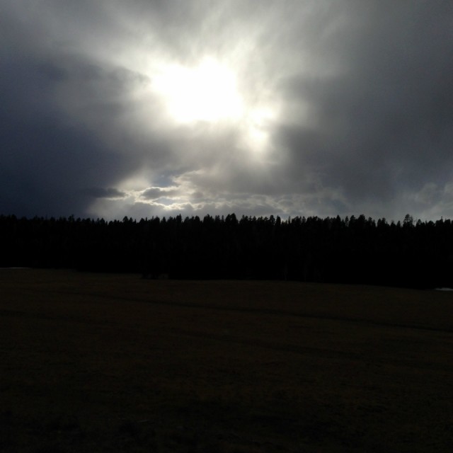 Kaibab National Forest avond