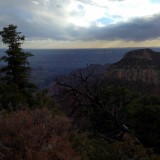 North Rim,Grand Canyon