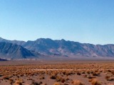 ASH MEADOWS