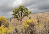 Onyx, California, Verenigde Staten