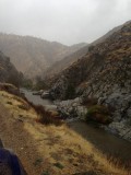 Sequoia National Forest
