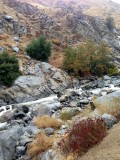 Sequoia National Forest
