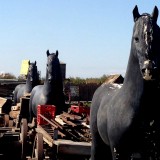 plastic paarden 29-10-2013 11-55-35