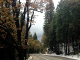 Oakhurst,