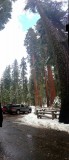Yosemite National Park