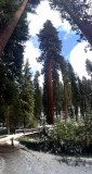 Yosemite National Park