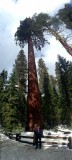 Yosemite National Park