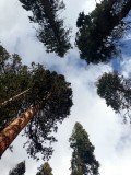 Yosemite National Park