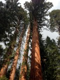 Yosemite National Park