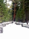Yosemite National Park