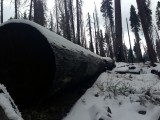 Yosemite National Park