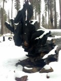 abstracte wortels met die sneeuw