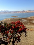 Gustine, California, Verenigde Staten