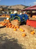 Hollister, California, Verenigde Staten