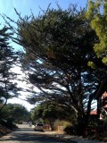 Monterey, California, Verenigde Staten