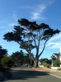 Pacific Grove, California, Verenigde Staten