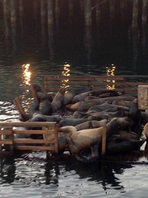Monterey, California, Verenigde Staten