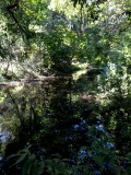Highway 1 / Andrew Molera Park, Verenigde Staten