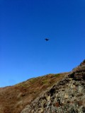 Big Sur, California, Verenigde Staten