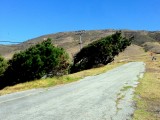 IMG_3468
