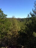 Natuur