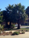 Lompoc, California, Verenigde Staten
