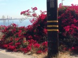 Malibu, California, Verenigde Staten