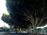 Santa Monica, California, Verenigde Staten