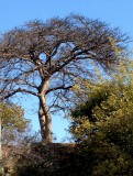 IMG_3891