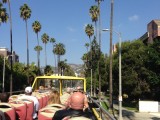 hollywood hills een beetje kaal